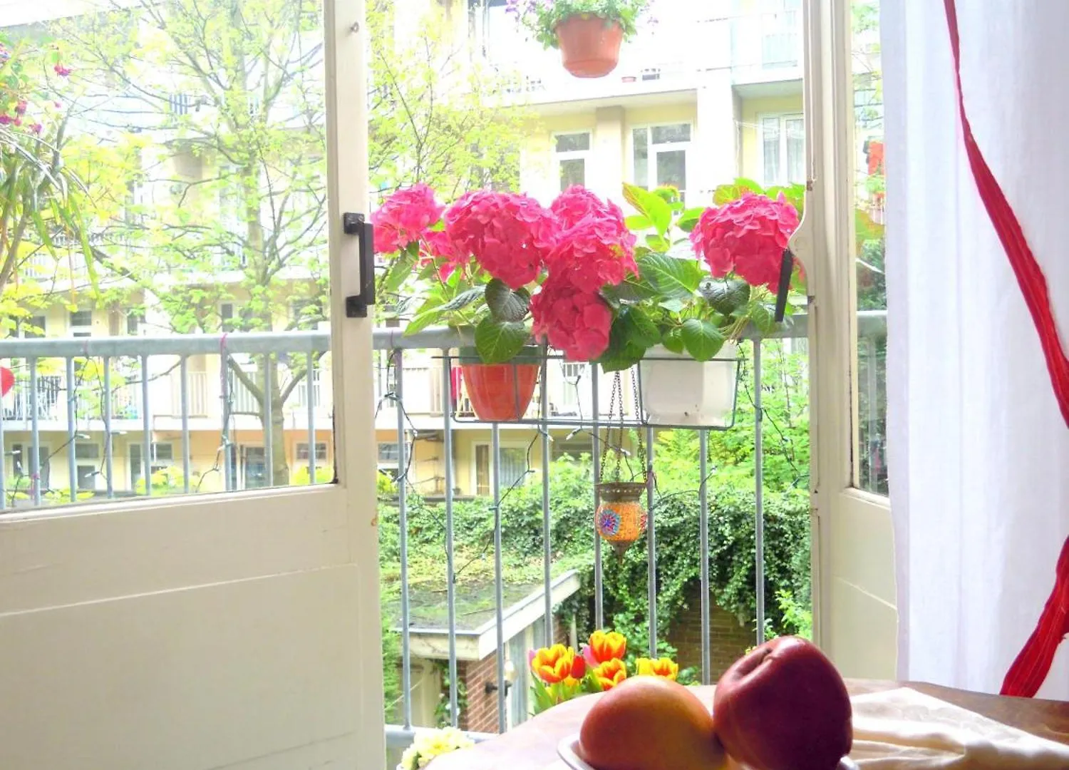 Missortelia B&B Amsterdam Netherlands