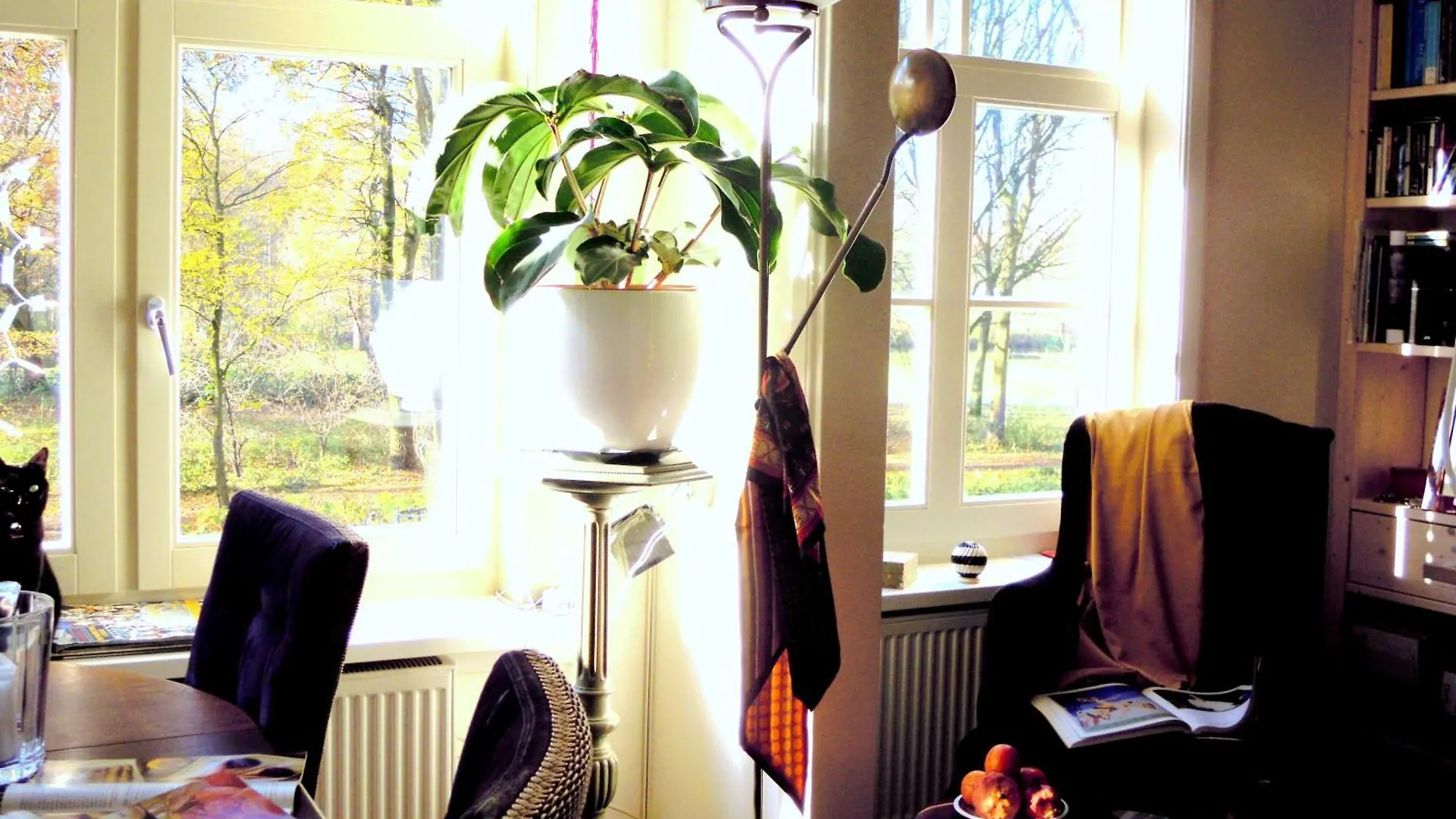 Bed & Breakfast Missortelia B&B Amsterdam