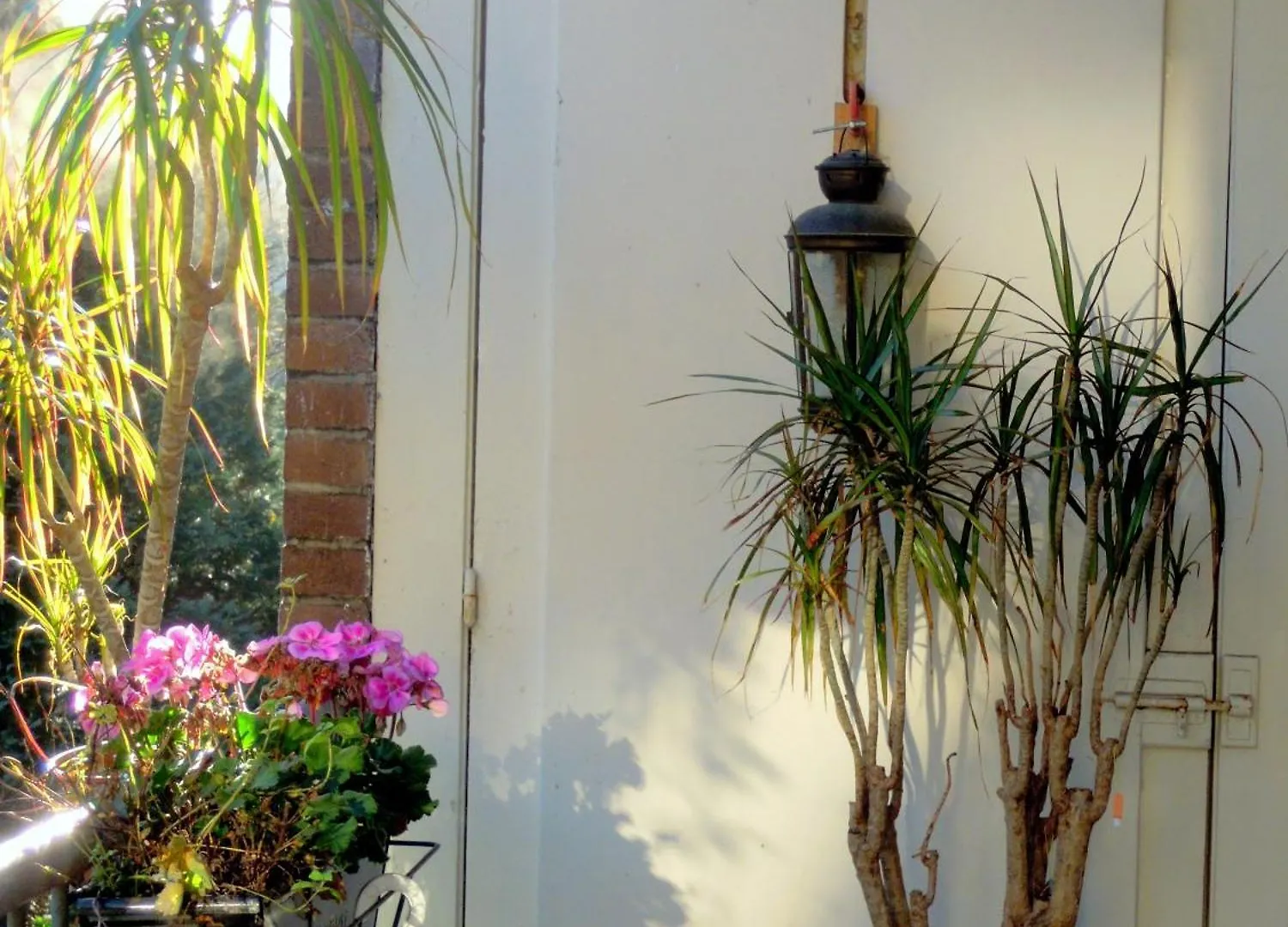 Missortelia B&B Amsterdam 2*,