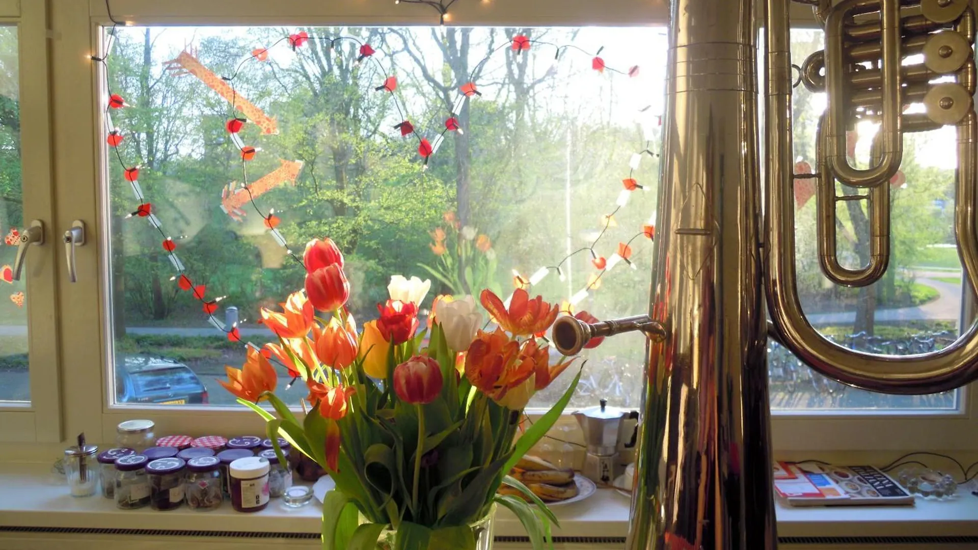 ** Bed & Breakfast Missortelia B&B Amsterdam Paesi Bassi