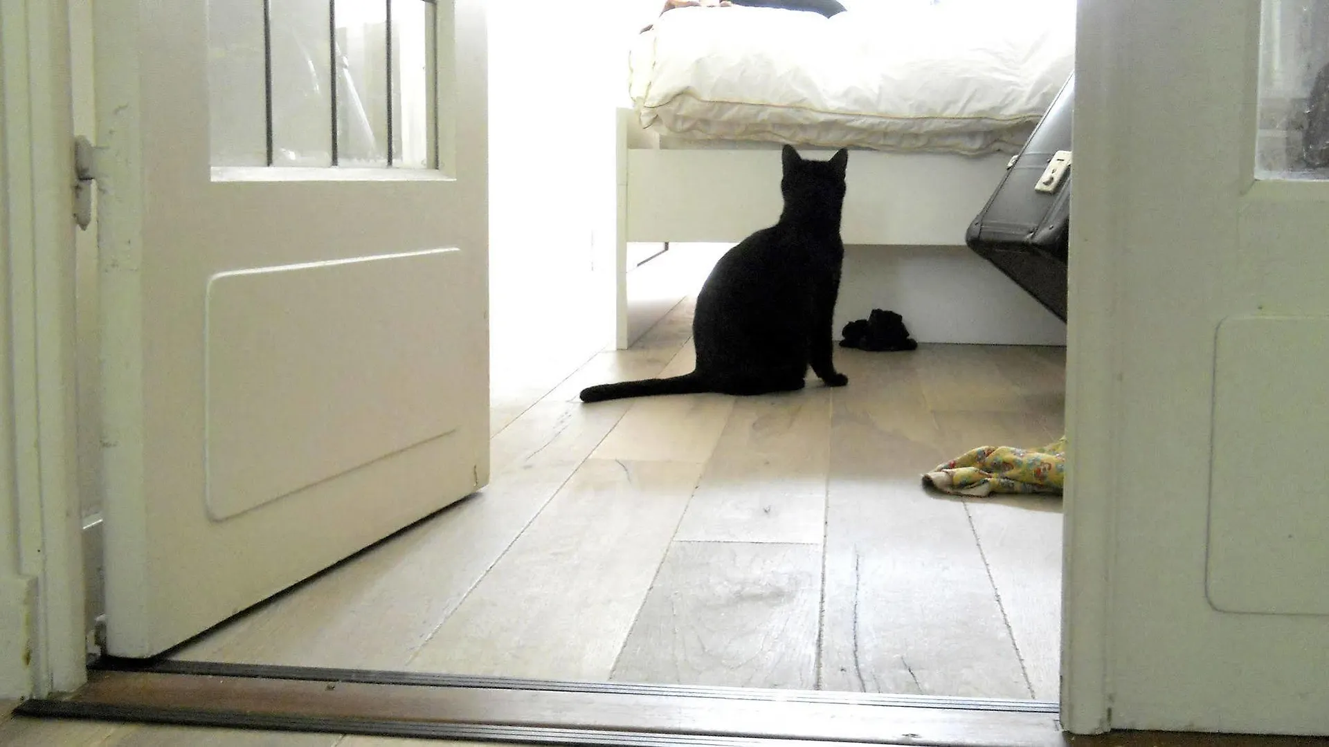 Missortelia B&B Amsterdam Netherlands